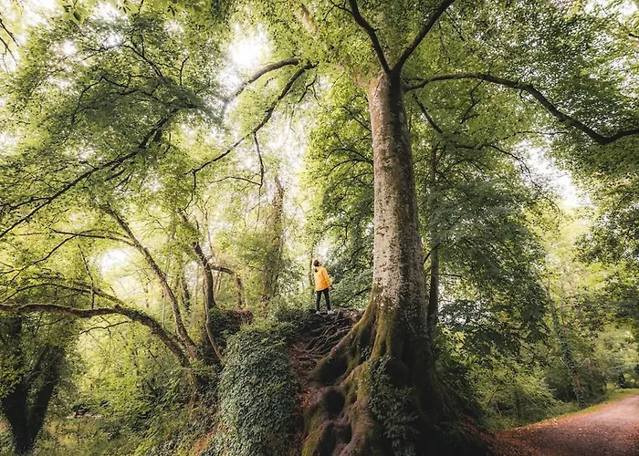 La Grange Et Le Nid *